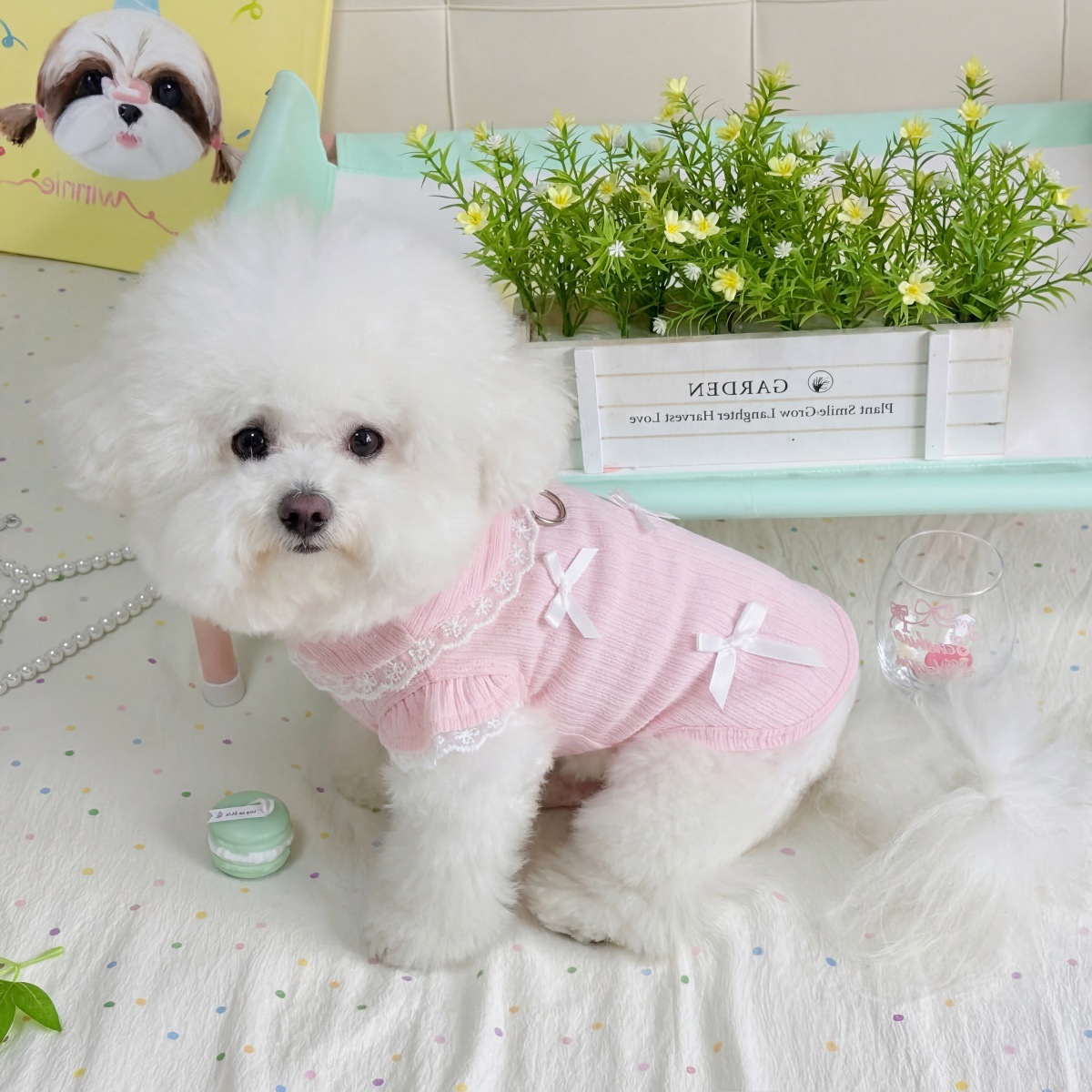 Pet Spring Lace Bow Vest Can P - Lace Teddy Lingerie บทวิจารณ์และราคา