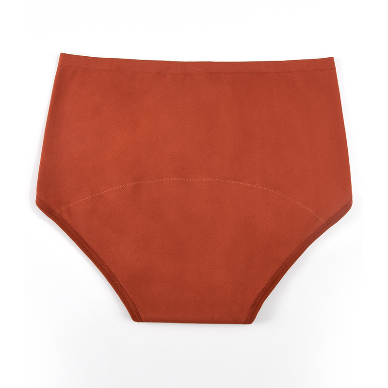 Women’s Seamless Period Pantie - Period Panty Absorbent บทวิจารณ์และราคา